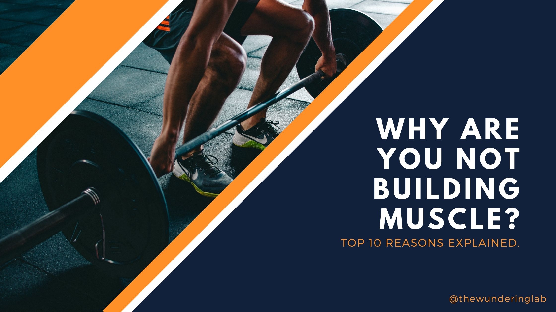 Why am I not building muscle? Top 10 reasons!
